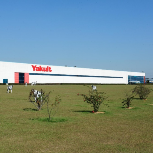 Yakult